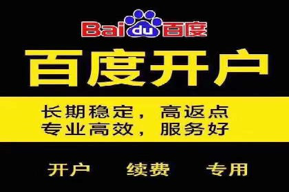 深度解析：百度竞价包年推广的五大成功案例